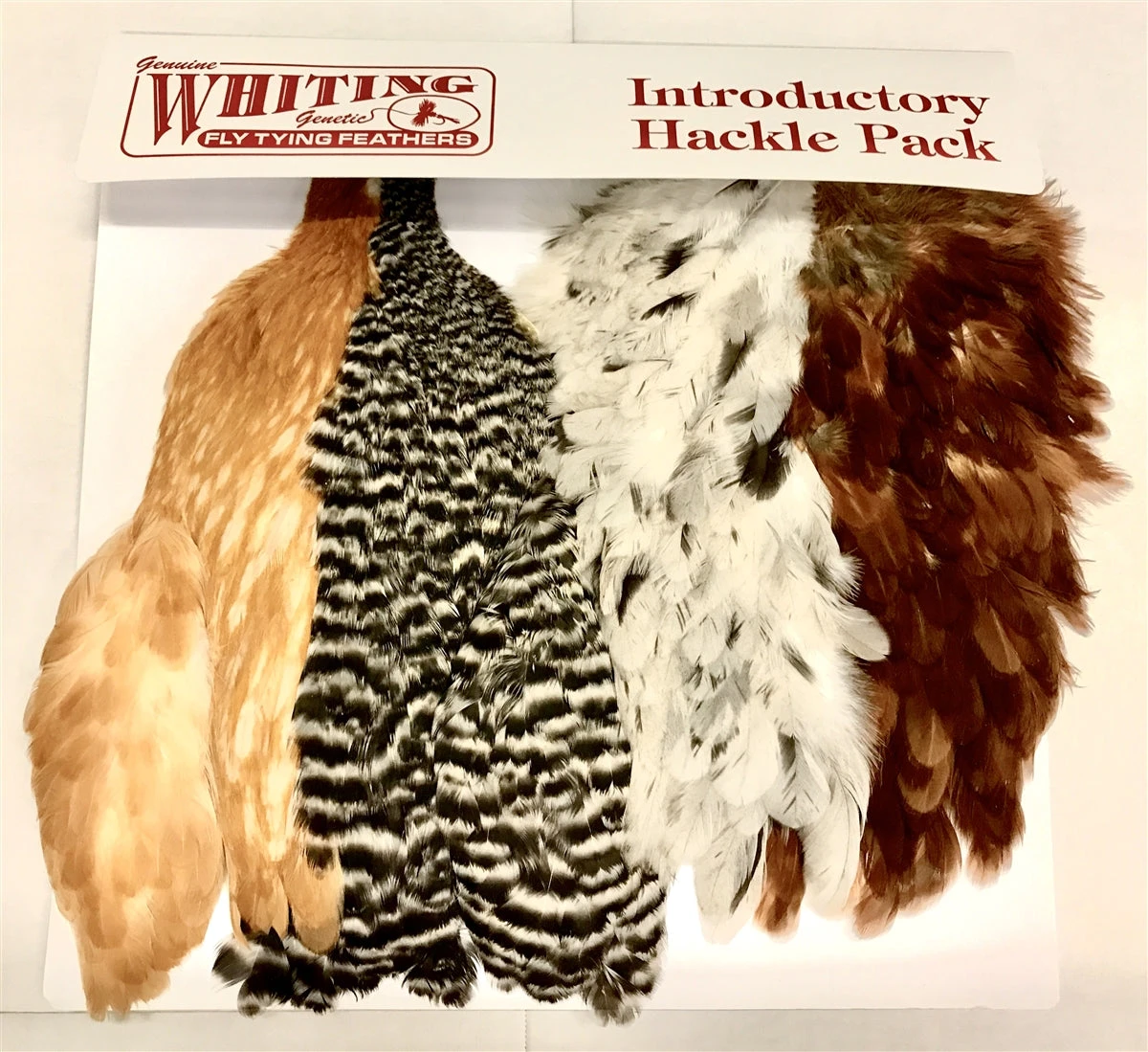 Whiting Soft Hackle Intro Pack 1 Whiting Soft Hackle Intro Pack