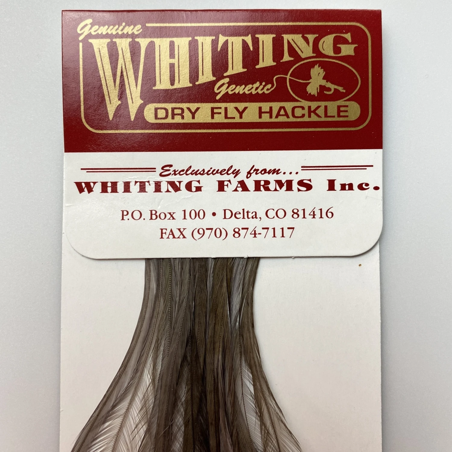 Whiting 100 Pack Dry Fly Hackle - Dark Dun - 18 1 Whiting 100 Pack Dry Fly Hackle - Dark Dun - 18
