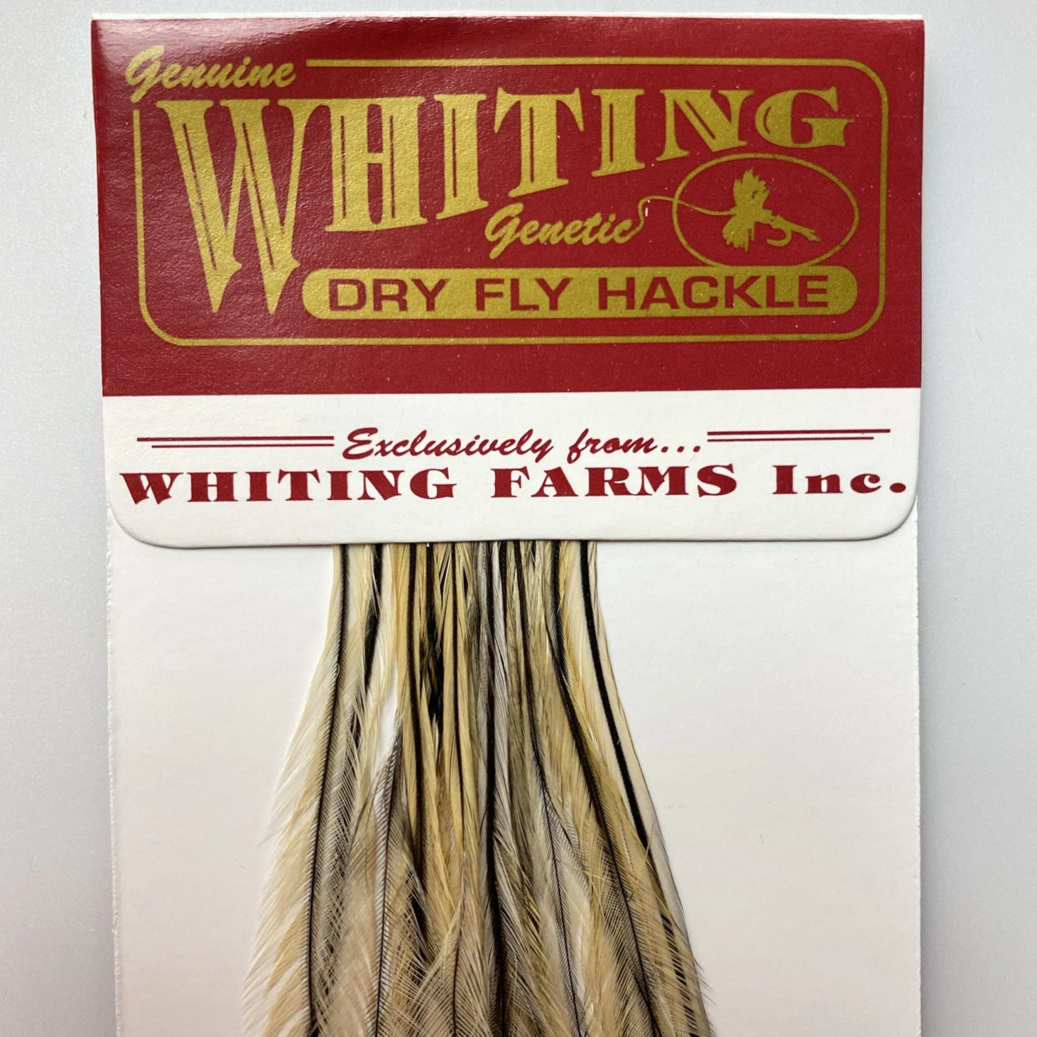 Whiting 100 Pack Dry Fly Hackle - Golden Badger - 18 1 Whiting 100 Pack Dry Fly Hackle - Golden Badger - 18