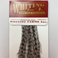Whiting 100 Pack Dry Fly Hackle - Grizzly Dyed Medium Dun - 12