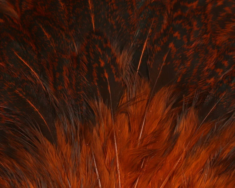 Hareline India Hen Back 3 Hareline India Hen Back - Image 3