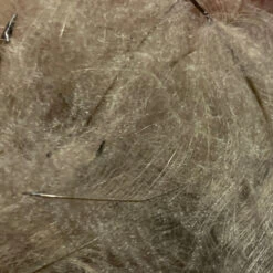 TroutHunter Premium Bulk CDC -Fly Fishing Sale Store IMG 5011