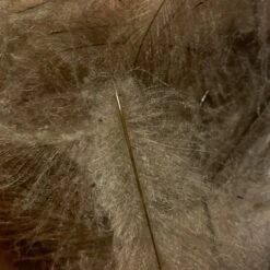 TroutHunter Premium Bulk CDC -Fly Fishing Sale Store IMG 5015