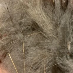 TroutHunter Premium Bulk CDC -Fly Fishing Sale Store IMG 5018