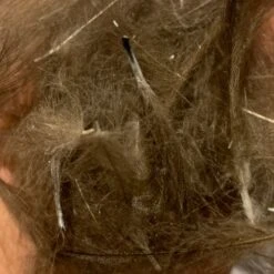 TroutHunter Premium Bulk CDC -Fly Fishing Sale Store IMG 5031 c1992016 9d1b 42ca b1f7 fb043cd953de