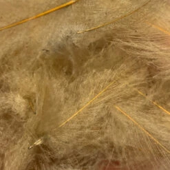 TroutHunter Premium Bulk CDC -Fly Fishing Sale Store IMG 5036 8942e70f 71a5 4598 bdfb aefaf5b67d04