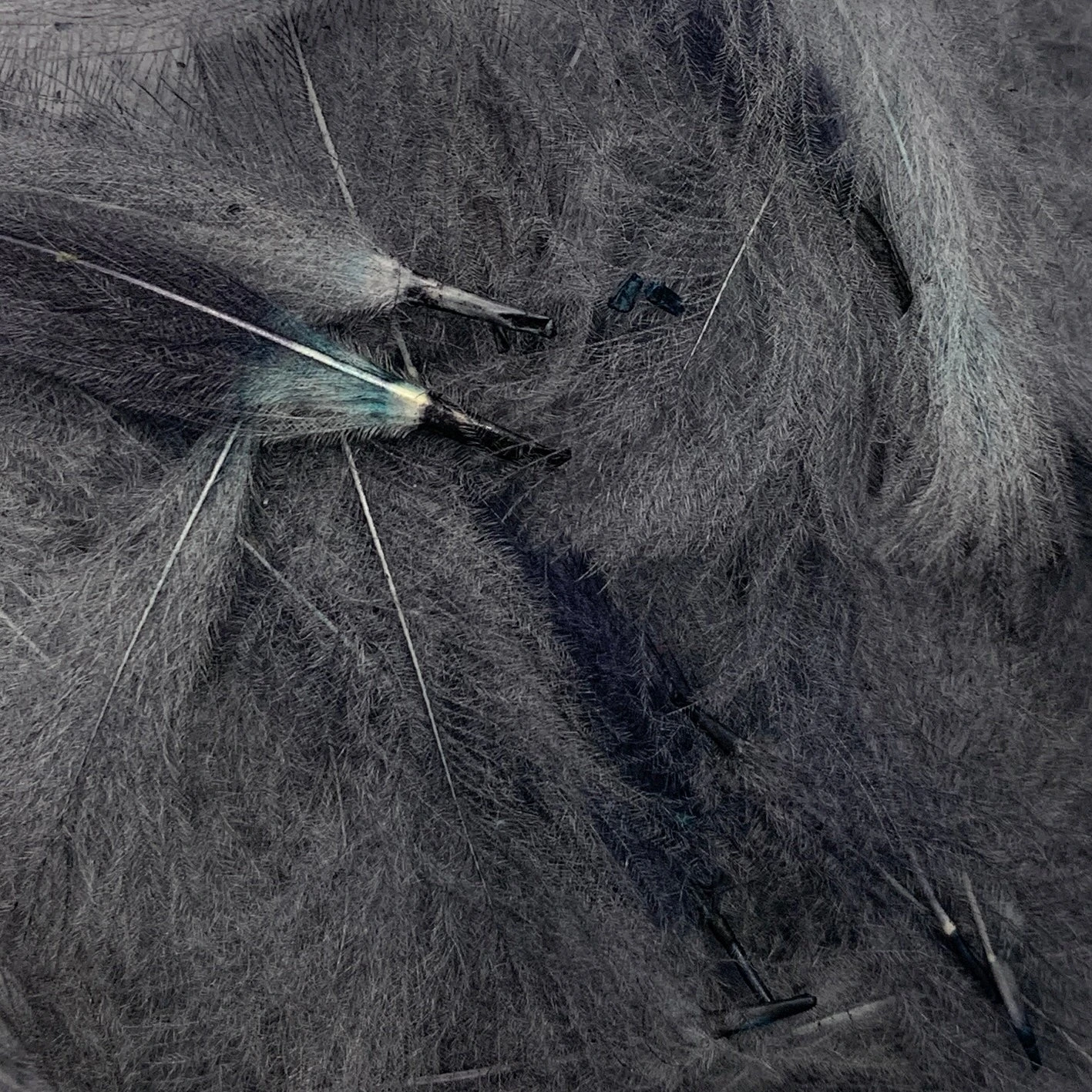 Swiss CDC Super Select Grade 13 Swiss CDC Super Select Grade - Image 13