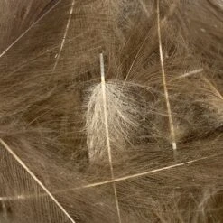 Swiss CDC Ultra Select XL Grade -Fly Fishing Sale Store IMG 6418