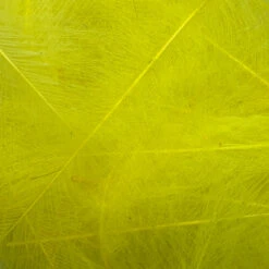 Swiss CDC Ultra Select XL Grade -Fly Fishing Sale Store IMG 6422