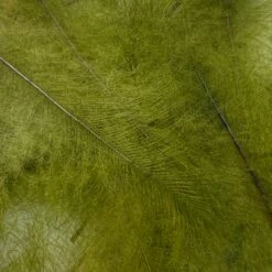 Swiss CDC Ultra Select XL Grade -Fly Fishing Sale Store IMG 6425