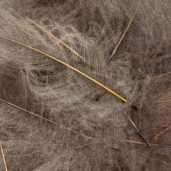 Swiss CDC Ultra Select XL Grade -Fly Fishing Sale Store IMG 6429