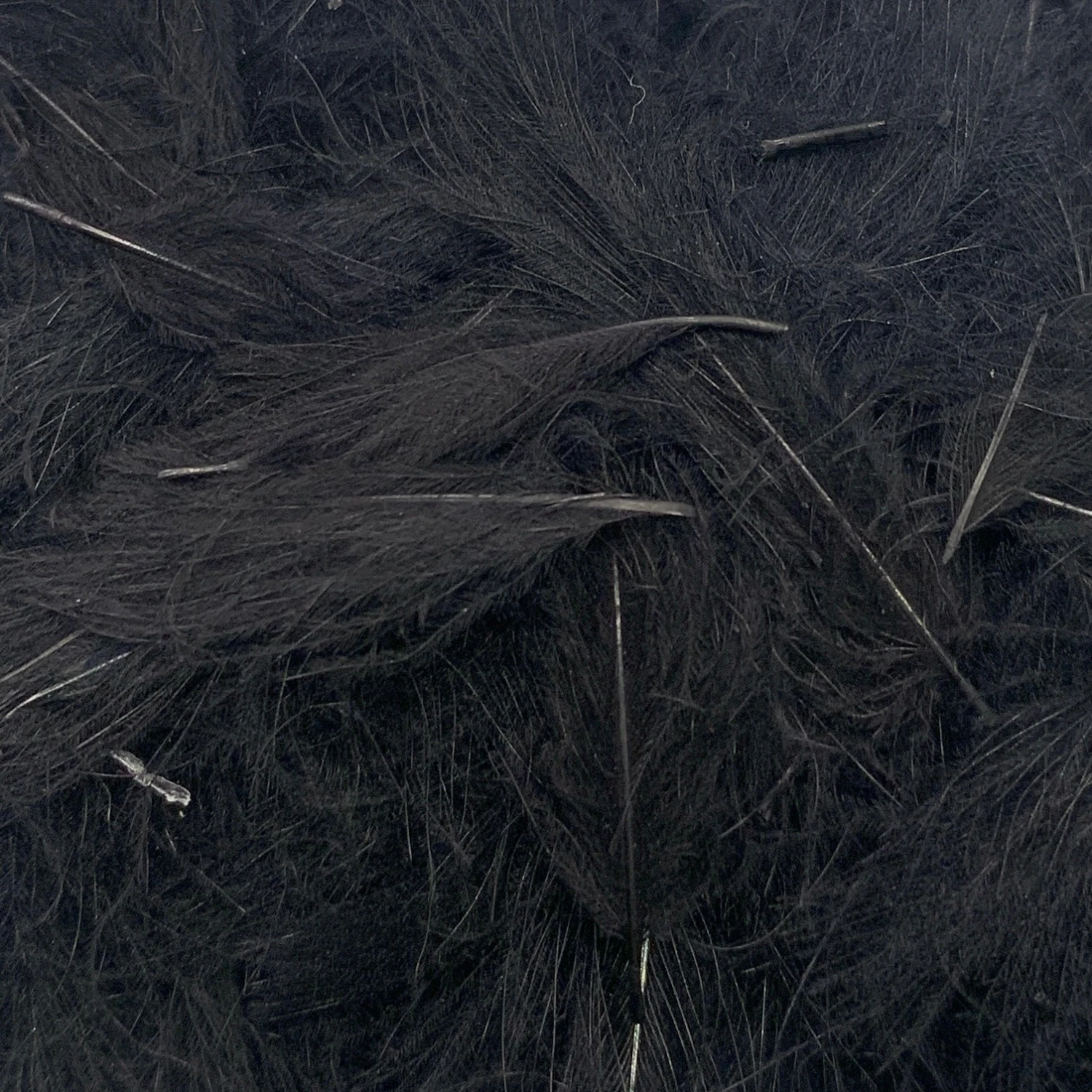 Swiss CDC Super Select Grade 18 Swiss CDC Super Select Grade - Image 18