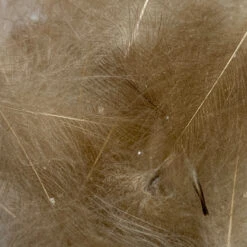 Swiss CDC Super Select Grade 33 Swiss CDC Super Select Grade -Fly Fishing Sale Store IMG 6433