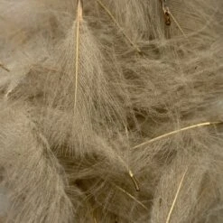 Swiss CDC Super Select Grade 27 Swiss CDC Super Select Grade -Fly Fishing Sale Store IMG 6435