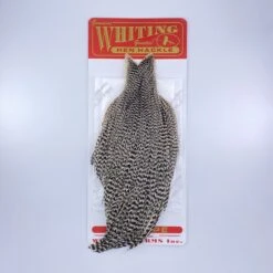Whiting Red Label Hen Cape -Fly Fishing Sale Store IMG 9176
