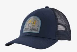 Patagonia Soft Hackle LoPro Trucker Hat
