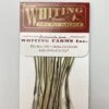 Whiting 100 Pack Dry Fly Hackle - Silver Badger - 12