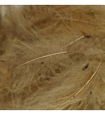 TroutHunter Premium Bulk CDC