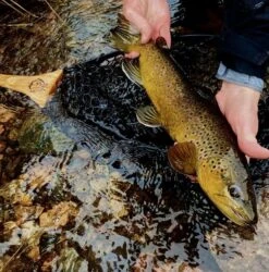 Hex Fly "Steel-Head" Reach Net 5 Hex Fly "Steel-Head" Reach Net -Fly Fishing Sale Store reach3